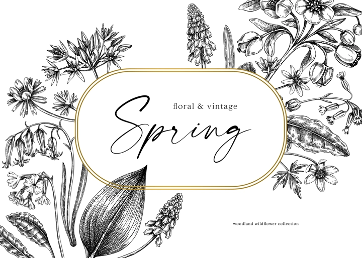 Delicate spring frame template. Hand drawn vector illustration. Woodland wild flower sketches. Floral background. Wildflower card, invitation design.